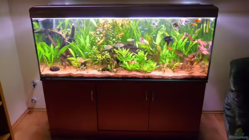 Am 17.08.2009 von Ed (7)