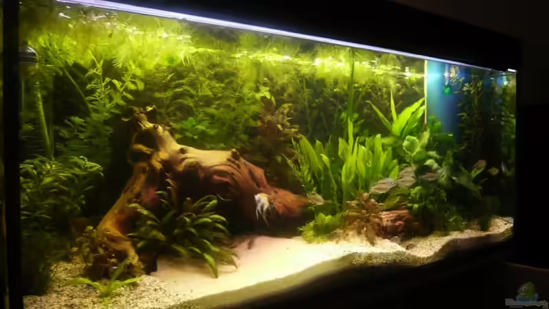 Am 19.04.2008 von Dennis (6)