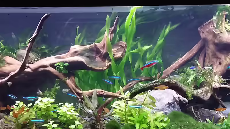 am 19.12.19 von Grünhexe (4)