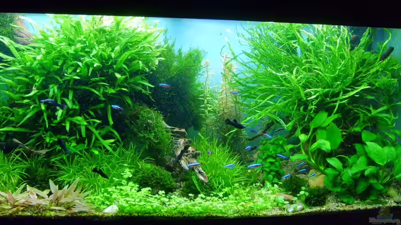 am 20.10.2012...etwas heller von Volkmar1 (10)