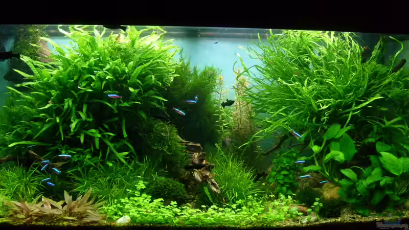 am 20.10.2012 von Volkmar1 (7)