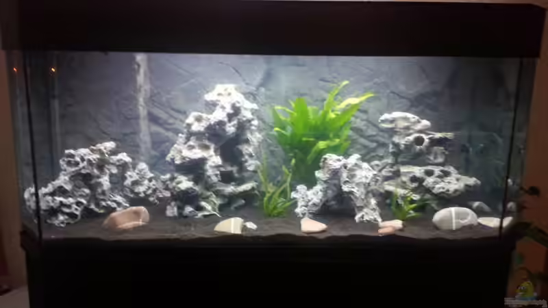 am 23.11.12 von AndiR79 (3)