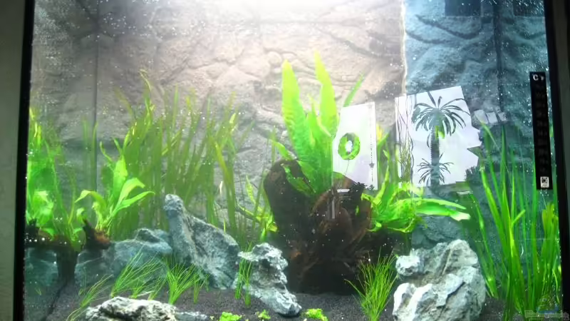 am 24.12.2010 von Sergio10 (11)