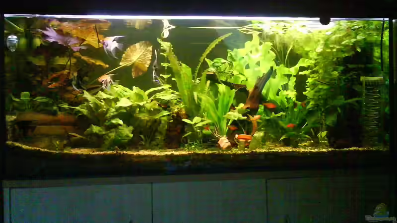 Am 24.4.09 !!!! von Frank Broneske (1)