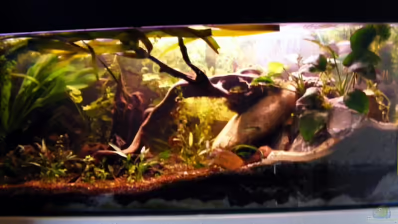 am 26.09.2009 von Falk (8)