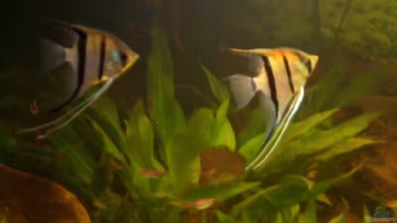 Am Abend von VL (10)