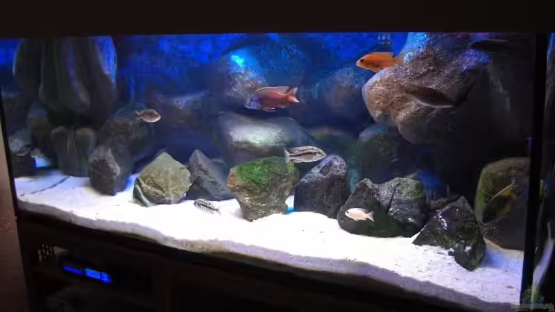 Am Anfang ... von Matoba (22)