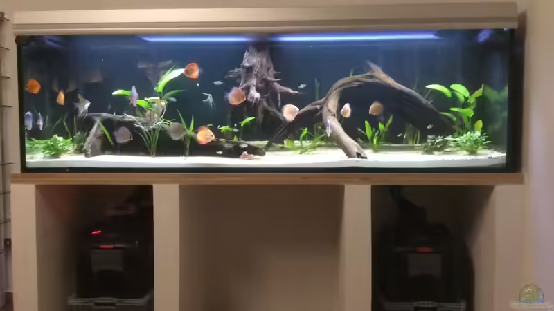 am Anfang von GG (8)