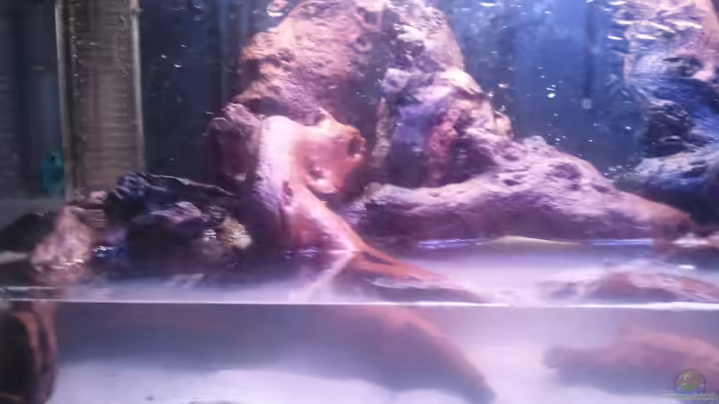 am Anfang von Grek77 (2)