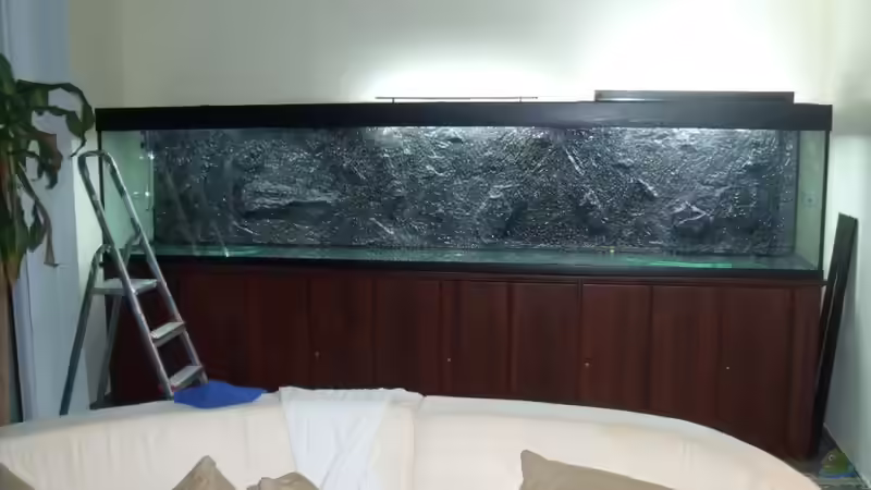 Am Anfang von lupusmedicus (2)