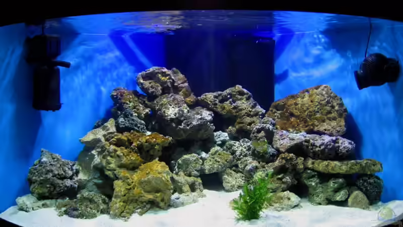 Am Anfang von Roland Kaltschitz (3)