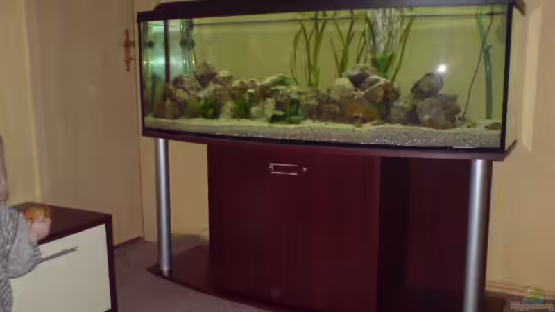 am anfang von Ronny Eisenberg (2)