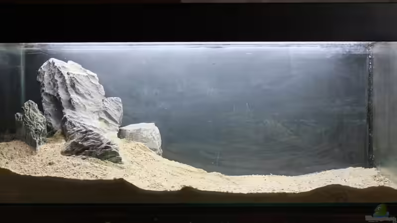 Am Anfang war der Stein, eine kleine Iwagumi-Ecke von Falk (7)