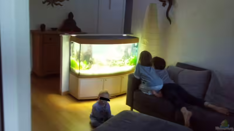 Am ersten Abend... von Bassley (10)