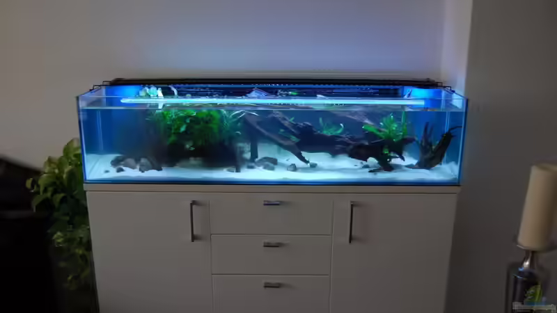 am ersten Abend nach der Befüllung von Berlin42 (13)