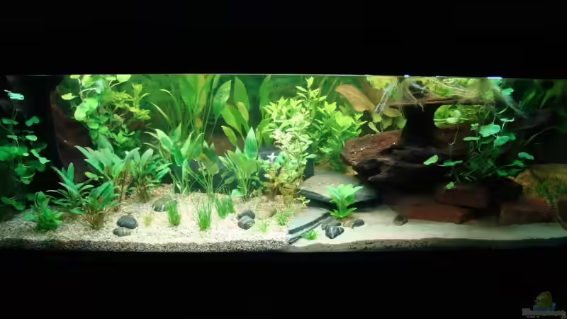 Am ersten Tag nach dem Einrichten von bernie-124 (3)