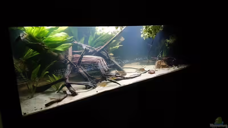 Am ersten Tag von DennisTheMenis (2)