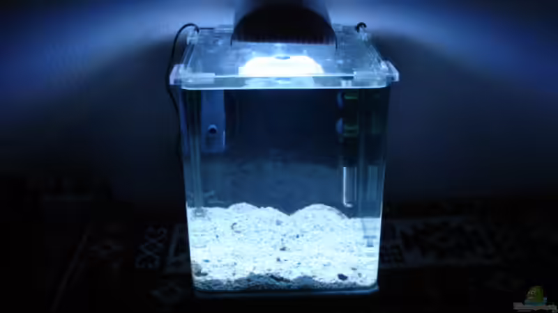 Am ersten Tag von hej kompisar (3)