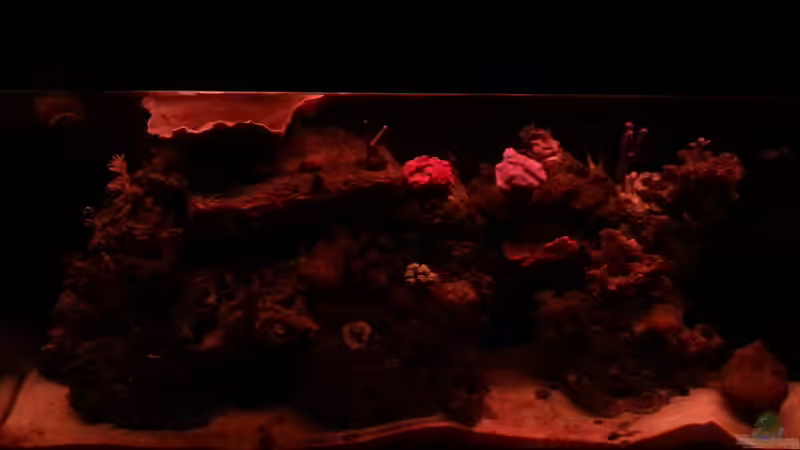 Am ganz frühen Morgen von Tim1979 (3)