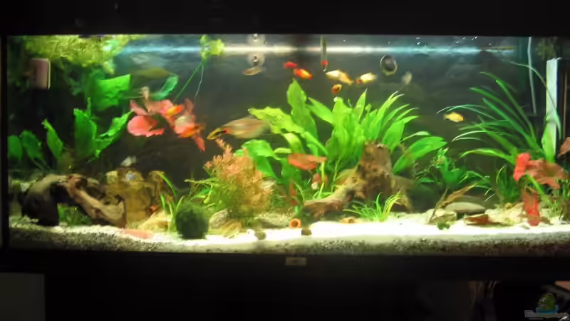 Am Mittag um 12Uhr! von Christian Trommer (2)