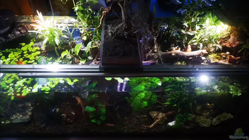 am morgen  von Alexander Deepocean (9)