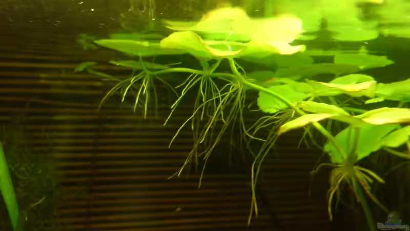 Am Nabel der Welt =) von elmo (5)