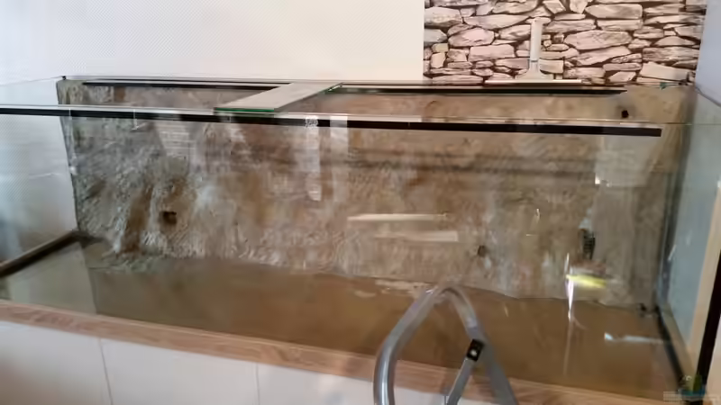 Am nächsten Tag. Auf dem Bild sieht man auch gut die integrieten Höhlen für Welse von Patrick`s Amazonas (16)