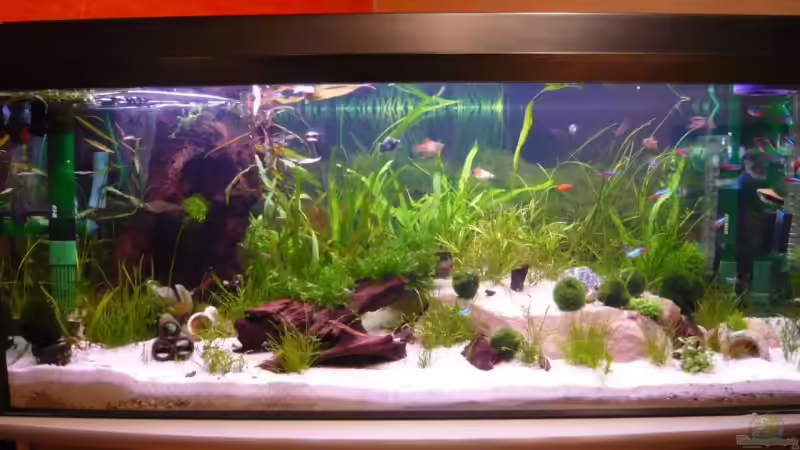 Am neuen Standort 24.01.2009