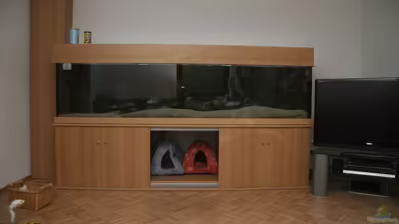 Am neuen Standort von Applehorsti (10)