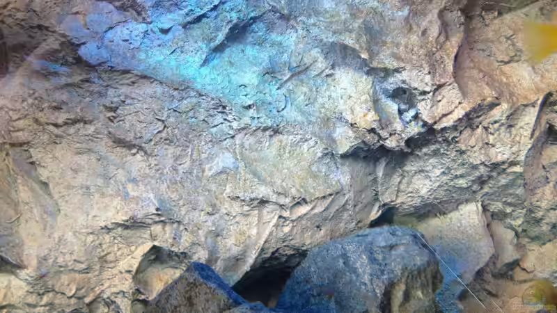 Am Tag... von der Steirer (14)