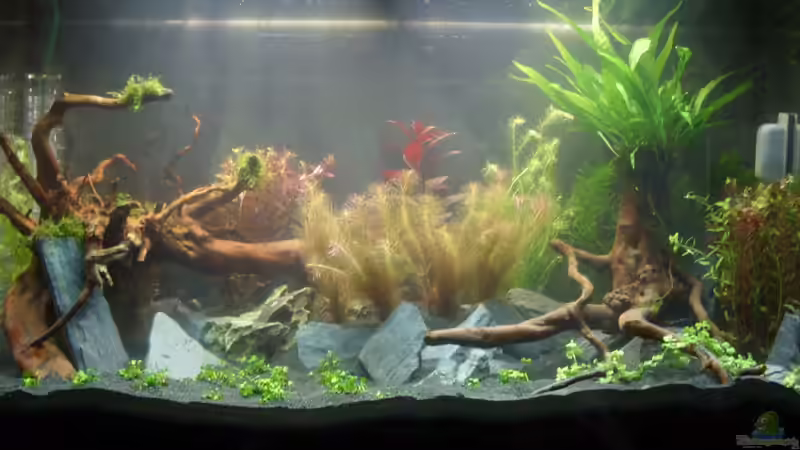 Am Tag der einrichtung von Alex Simon (3)