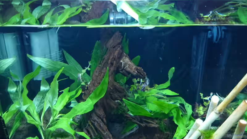 Am Tag der Einrichtung von Jahira (3)