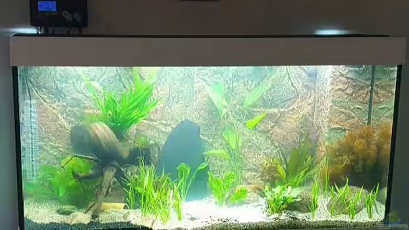 am Tag der Eintichtung von Huni (2)