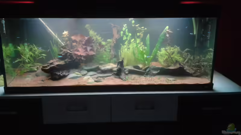 Am Tag der Neueinrichtung von Kai Heermann (1)