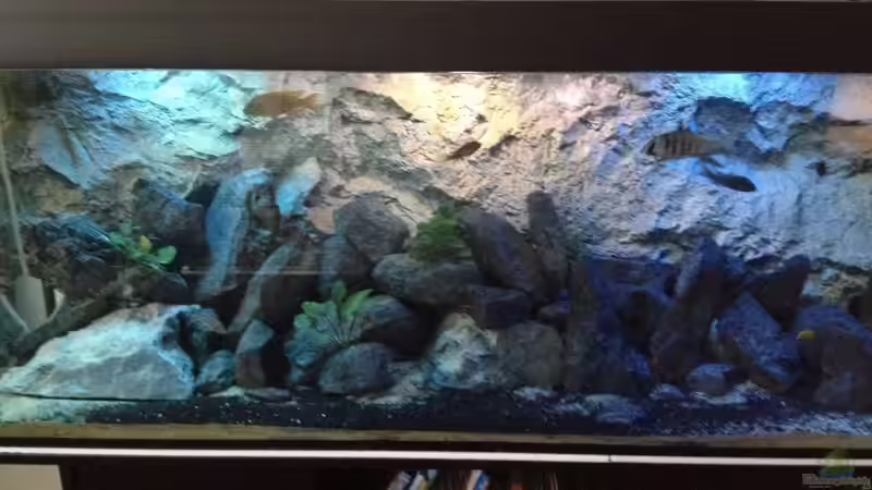 Am Tag mit Beleuchtung und Faschingsdeko:-) von der Steirer (12)