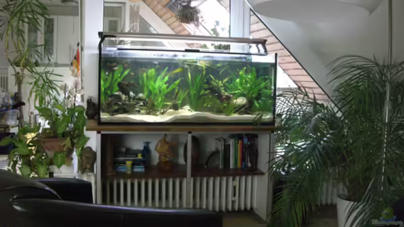 Am Tag von Dr. Dr. Kliem (5)