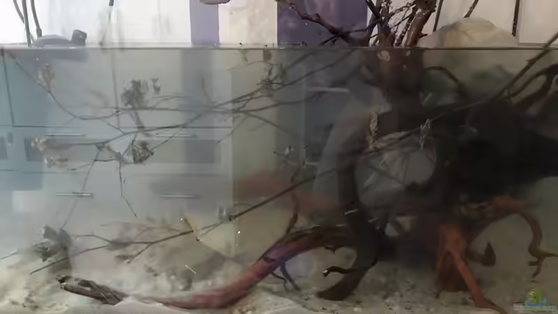 Am wasserauffüllen  von Raven887 (3)