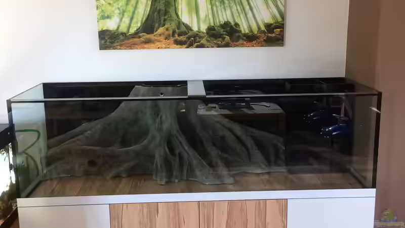 Am Ziel angekommen von Wabi (5)