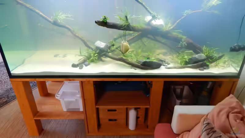 Am zweiten Tag sah es dann schon besser aus von Merotheq (10)