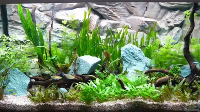 Amazon Day gegen JBL Flora Glow getauscht. 22.12.12 von Zewana (5)