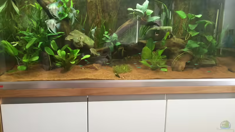 Amazonas-Becken von JensK (1)