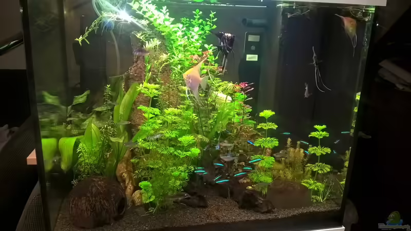 Amazonasbecken von juweler4567 (2)