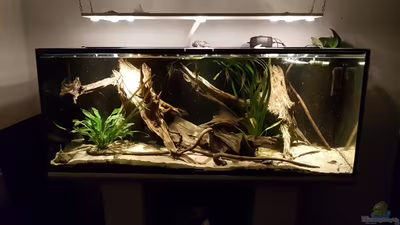 Amazonien 2.0 von naturalR (1)