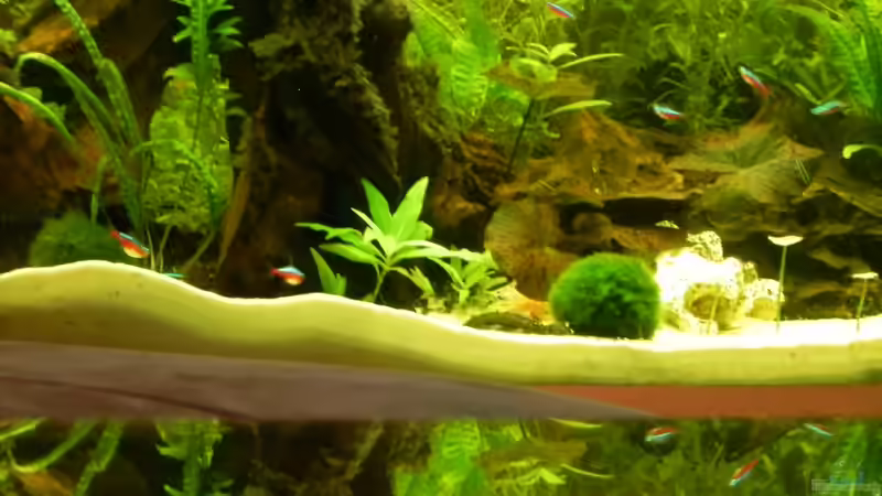 Ambiente von Bassley (1)