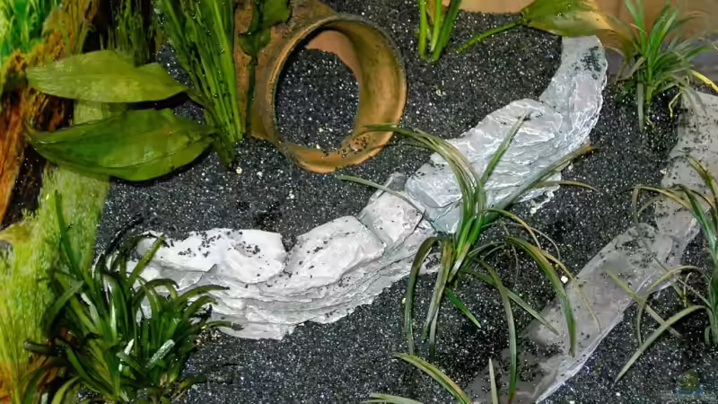 Amphore auf einer Terrassen Ebene von bjoern21x (12)