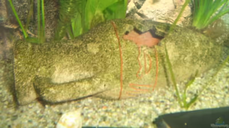 amphore von Andre Schumacher (19)