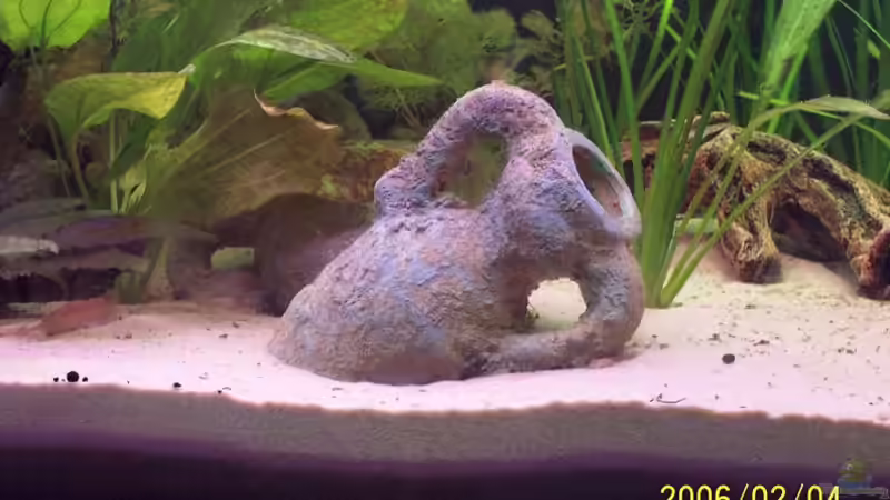 Amphore von Sven Pohlner (12)