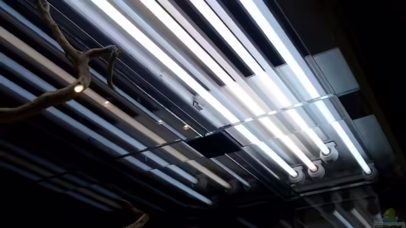 an anfang 4x35W, wurde auf 1x80W und  2x35W geändert von Marmax (23)