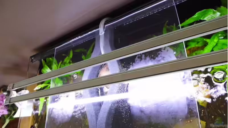 an der Acrylscheibe ein kleiner Einschnitt für die Schläuche von ob64 (4)