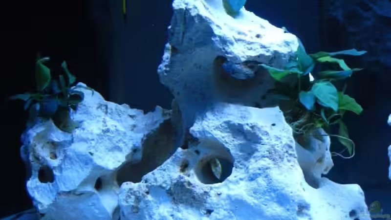 An der linken Seite befindet sich die Technik, durch den dunklen Hintergrund ist von Meike_R (6)